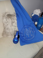 Zeta Phi Beta Blanket