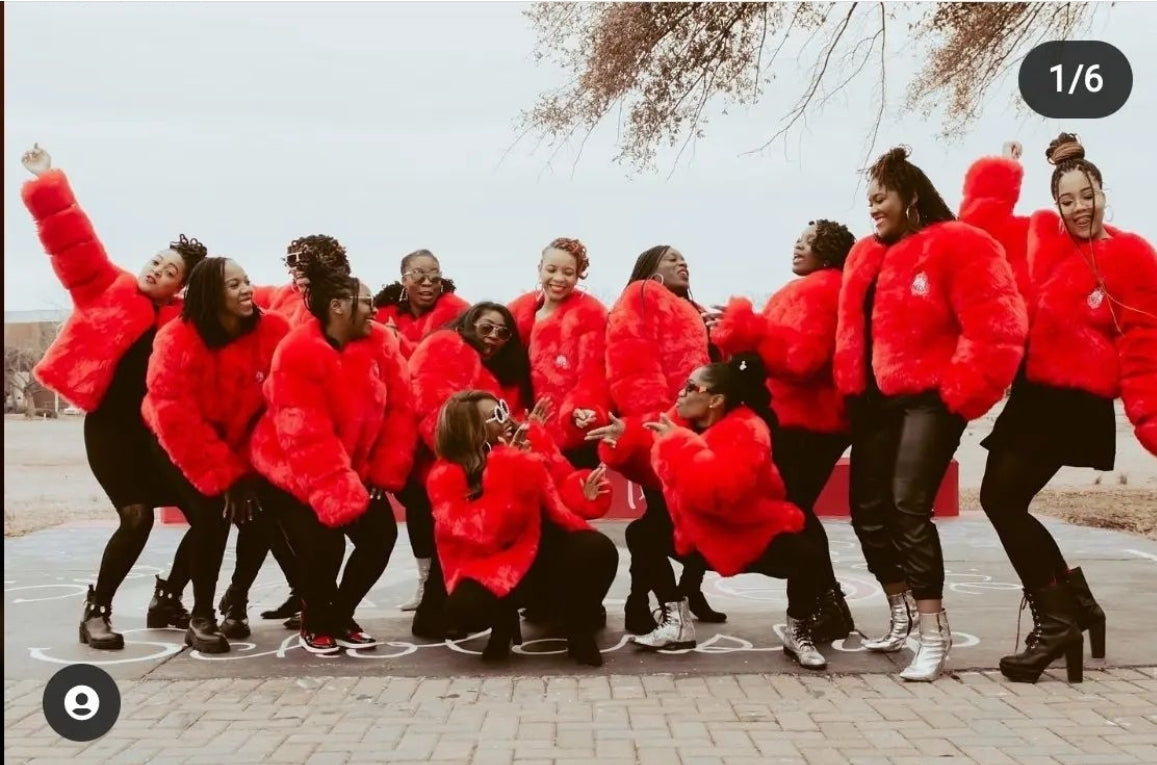 Delta Sigma Theta Fur Coat