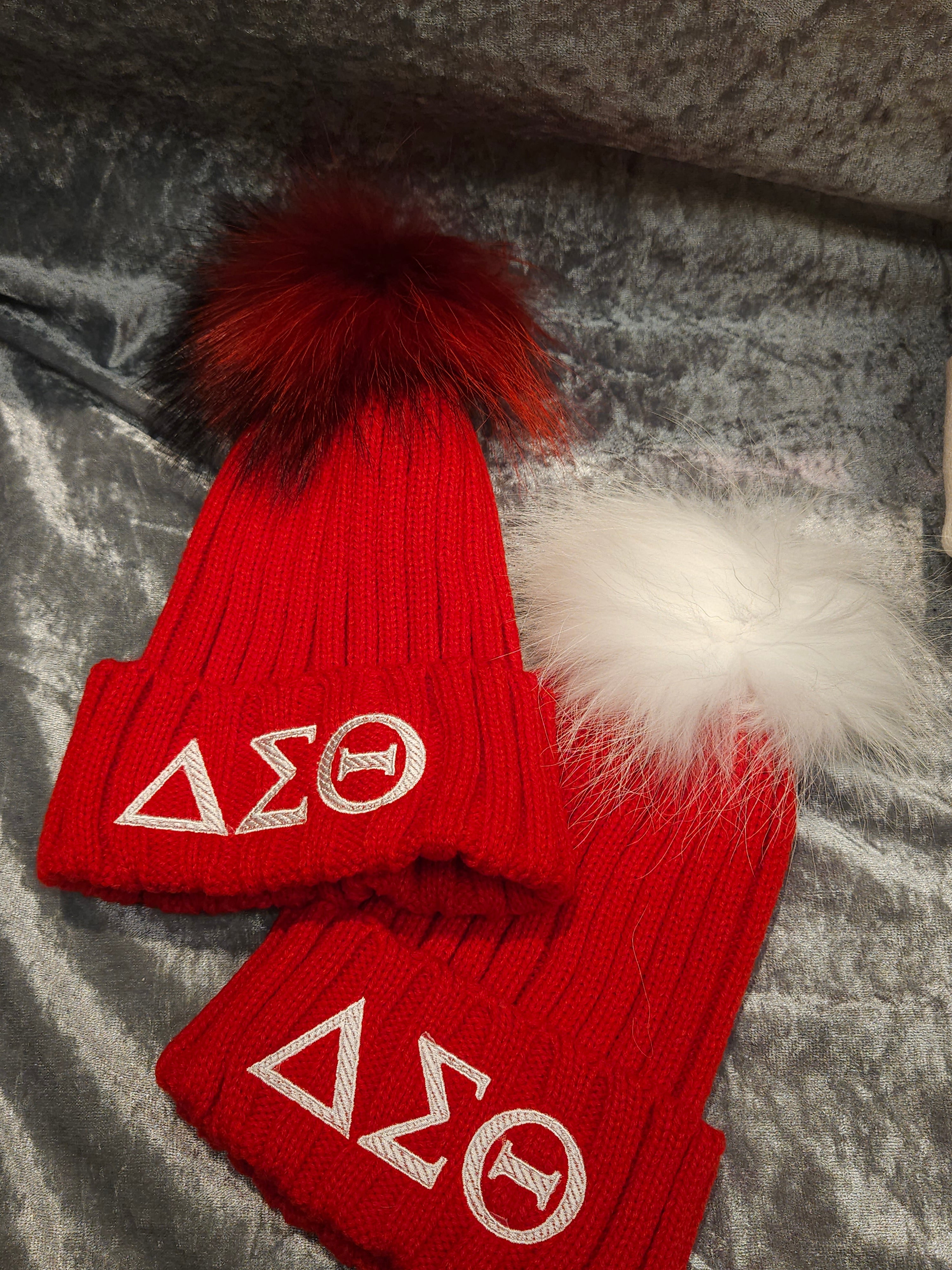Delta Sigma Theta Winter hall with Fur Ball