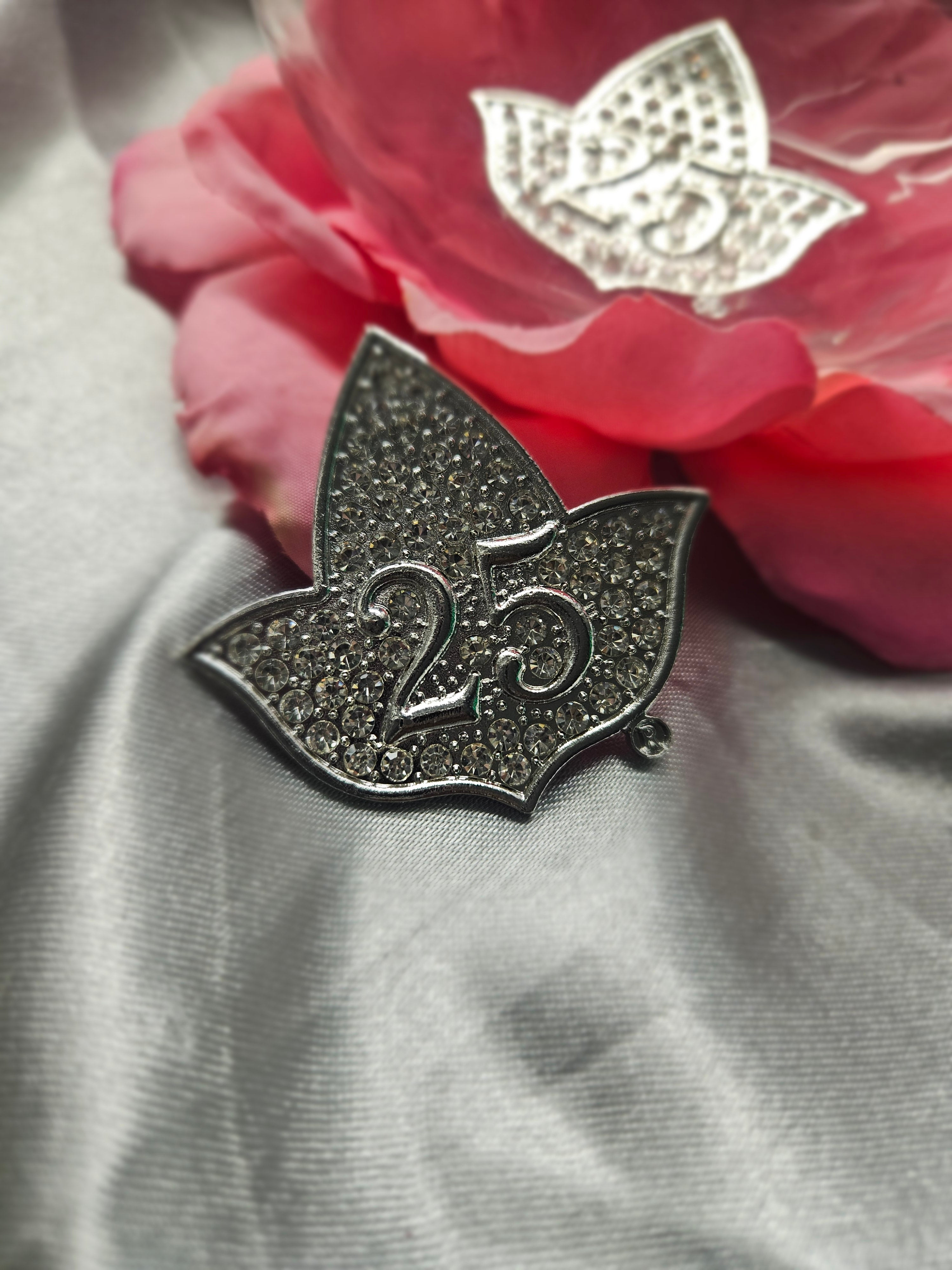 Alpha Kappa Alpha Silver Star Lapel pin