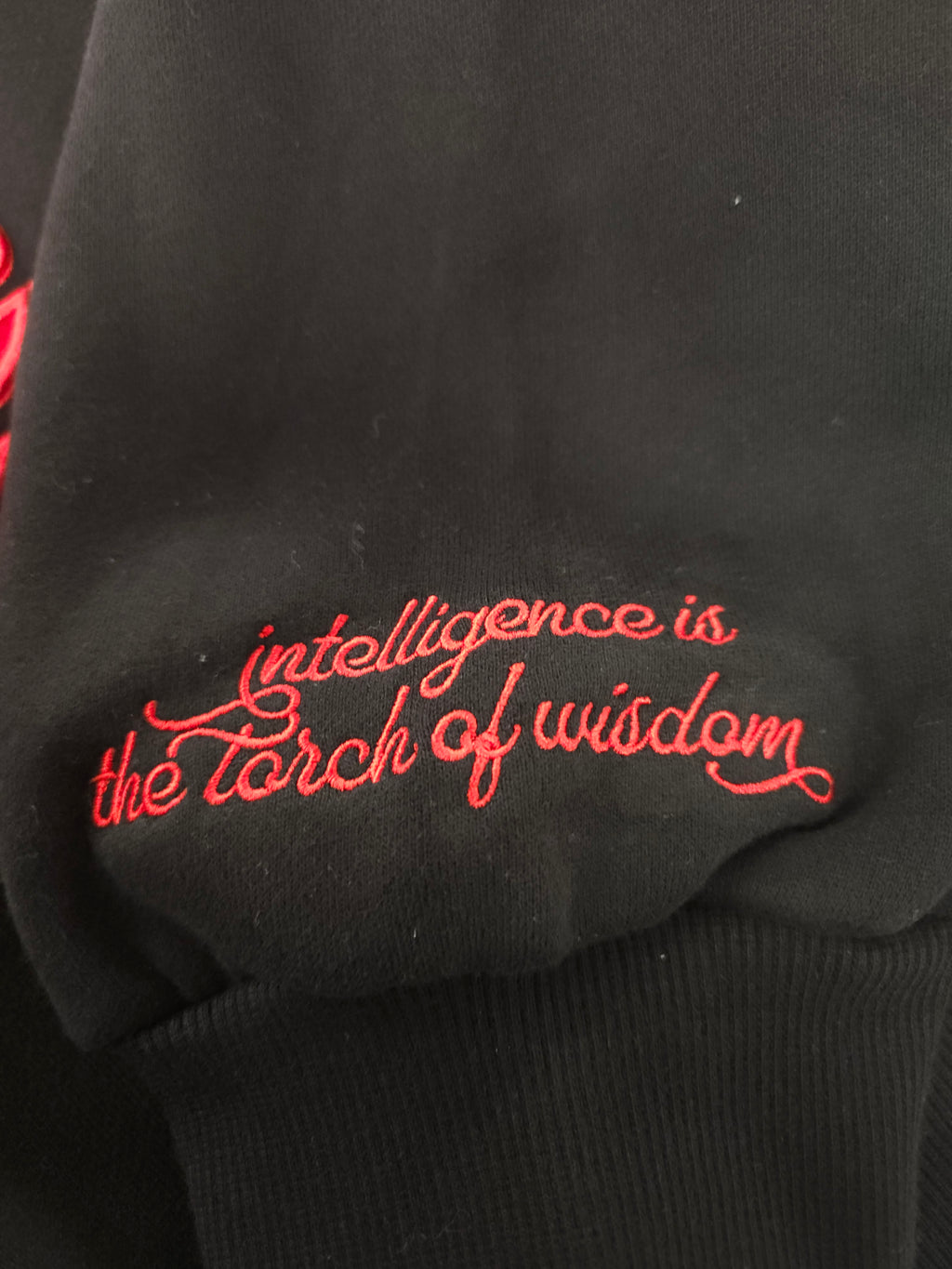 Delta Sigma Theta Torch of Wisdom Off Shoulder Sweatshirt