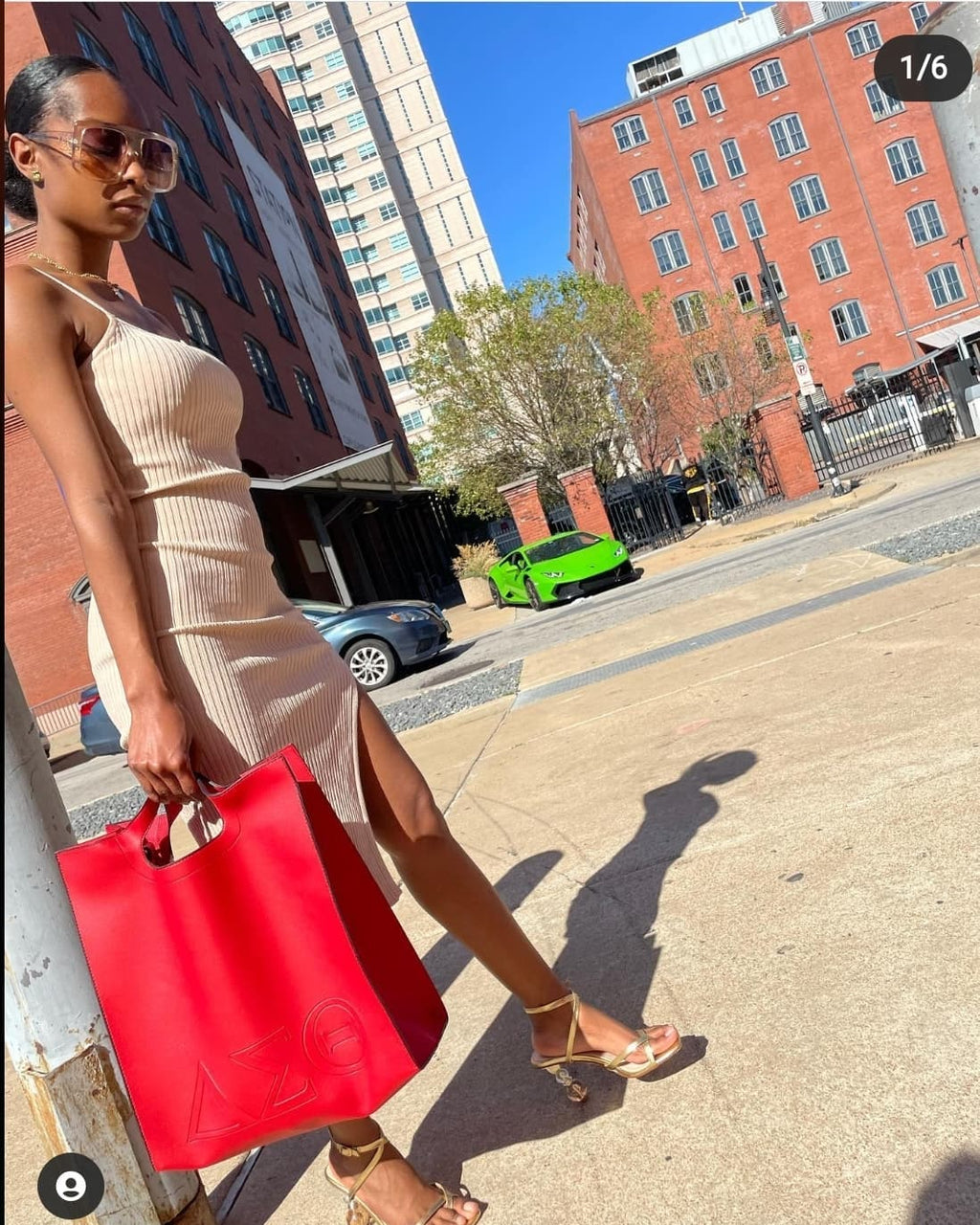 Delta Sigma Theta Oversized Tote