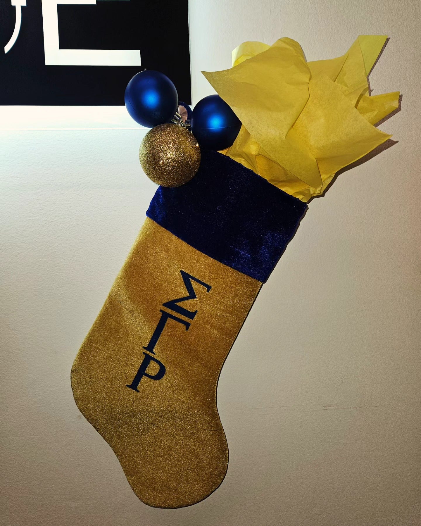 Sigma Gamma Rho Xmas stocking