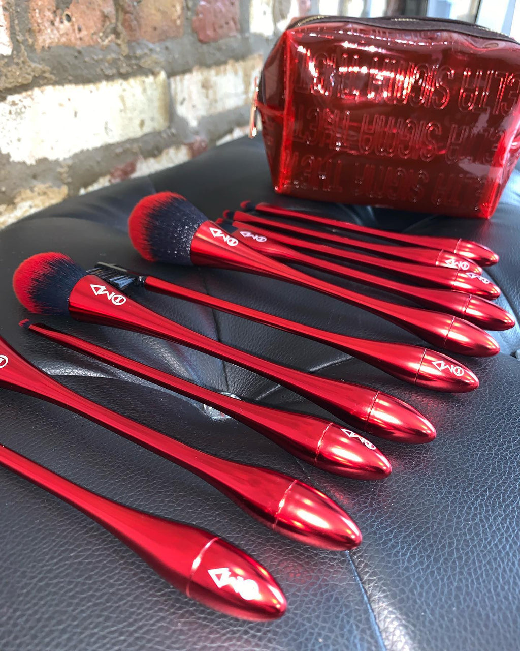 Delta Sigma Theta Makeup brushes