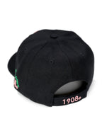 Alpha Kappa Alpha Baseball hat