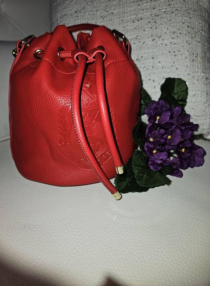 Delta Sigma Theta Drawstring crossbody