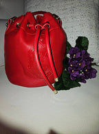 Delta Sigma Theta Drawstring crossbody