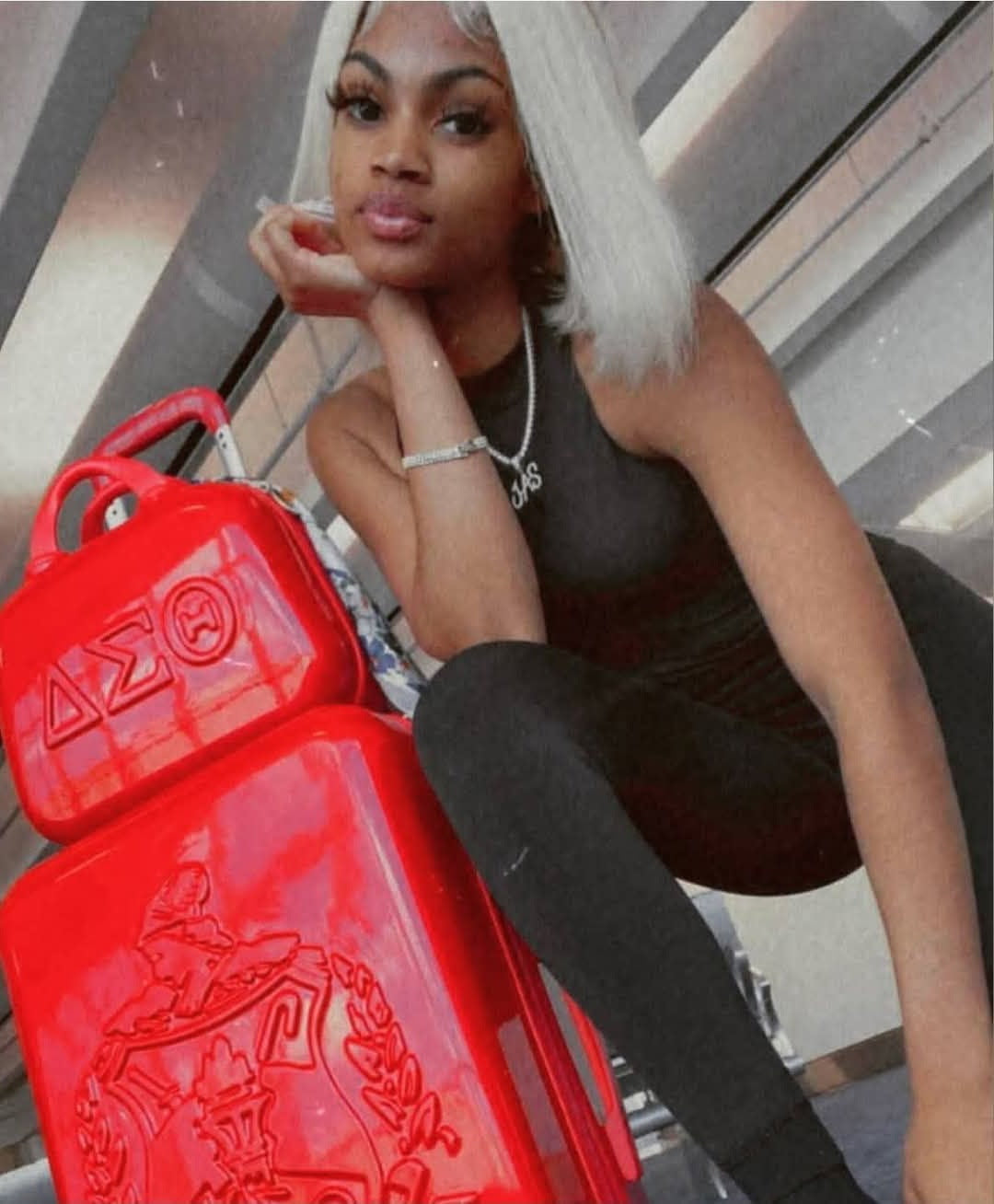 Delta Sigma Theta Carry on 2 piece Luggage SET